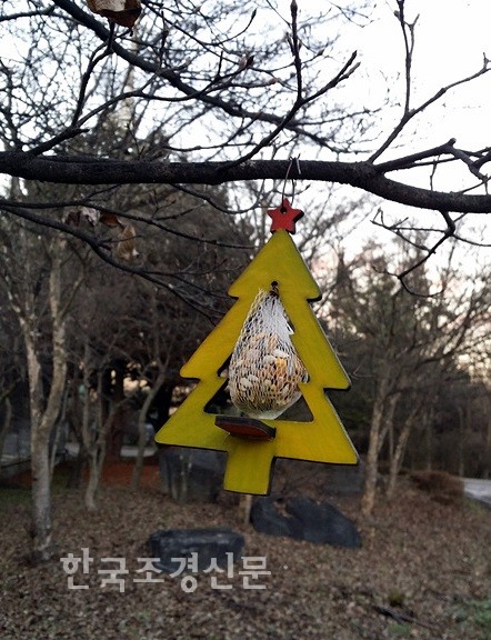정원관리365 한겨울의 정원관리 
