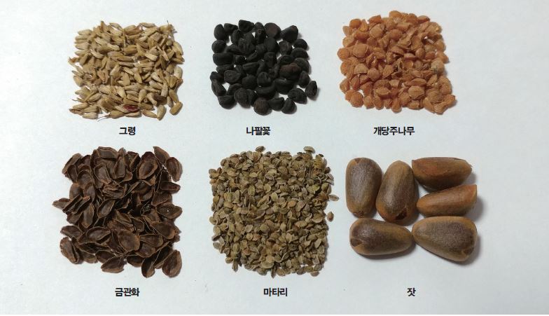 종자 관리하기