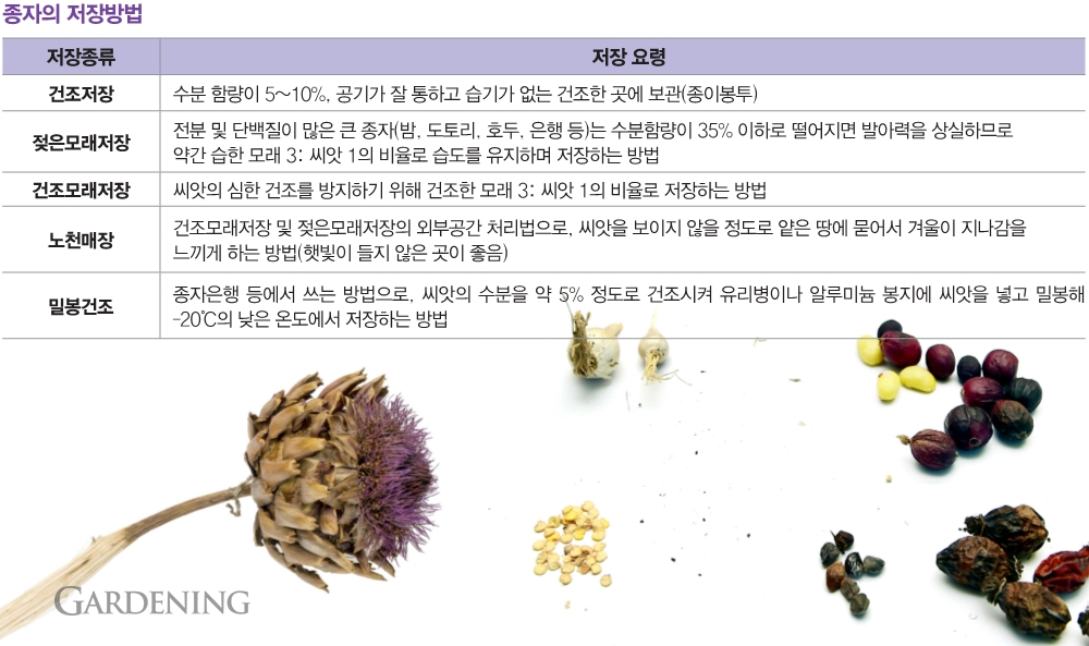 [특집 씨앗②] 정원사가 알아야 할 씨앗관리